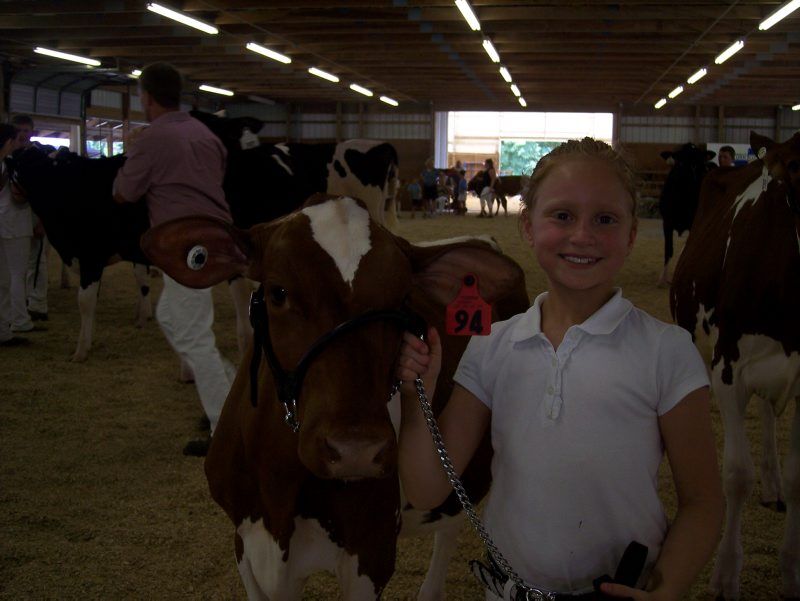B-york-allbreeddairy-1.jpg